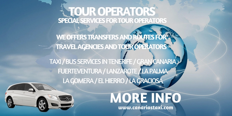 Services for Tour Operators and Travel Agencies in Canarias Taxi