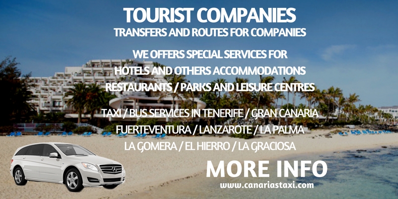 Services for Tourist Companies in Canarias Taxi